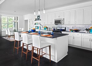 Contemporary Kitchen Design and Remodel by KSI Kitchen and Bath